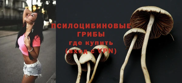 винт Майский