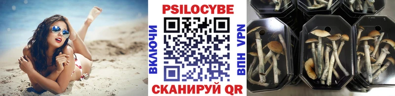 blacksprut как зайти  Томилино  Галлюциногенные грибы Psilocybine cubensis  дарнет шоп 