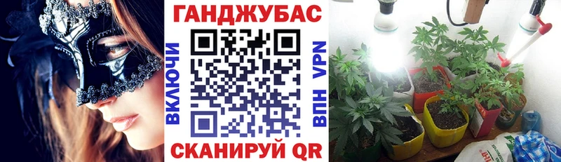 где купить   Томилино  Бошки Шишки MAZAR 